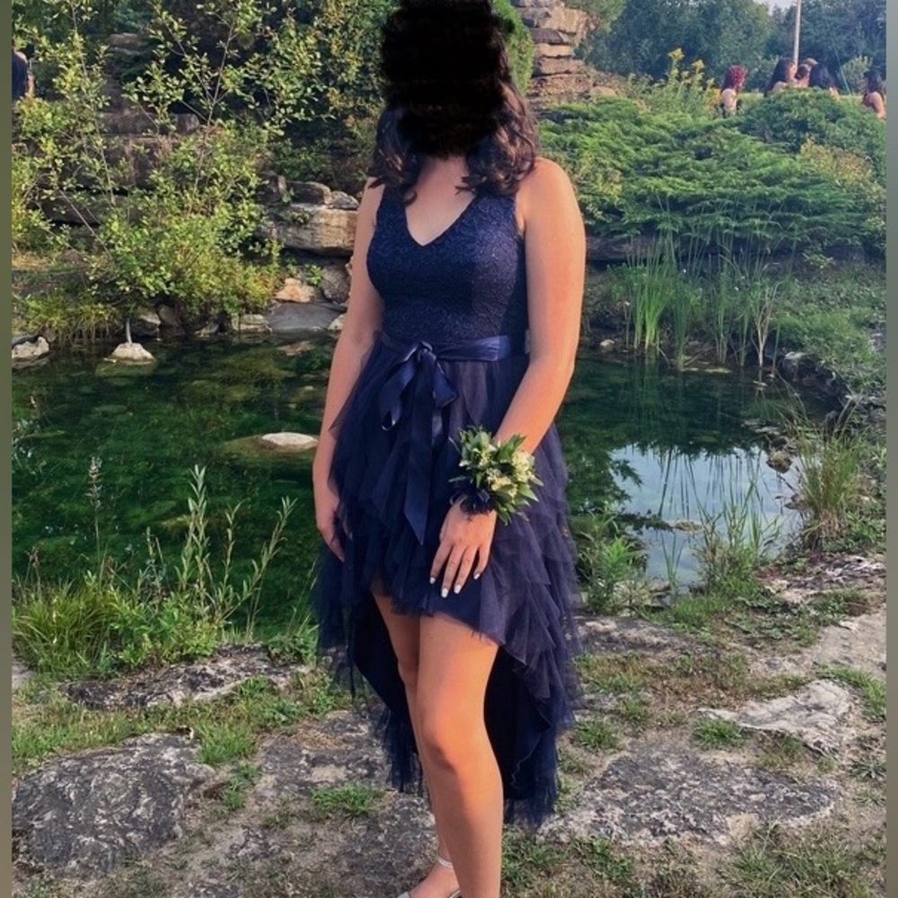 Le Château Elegant Navy Blue Lace and Tulle Dress (Size Small)